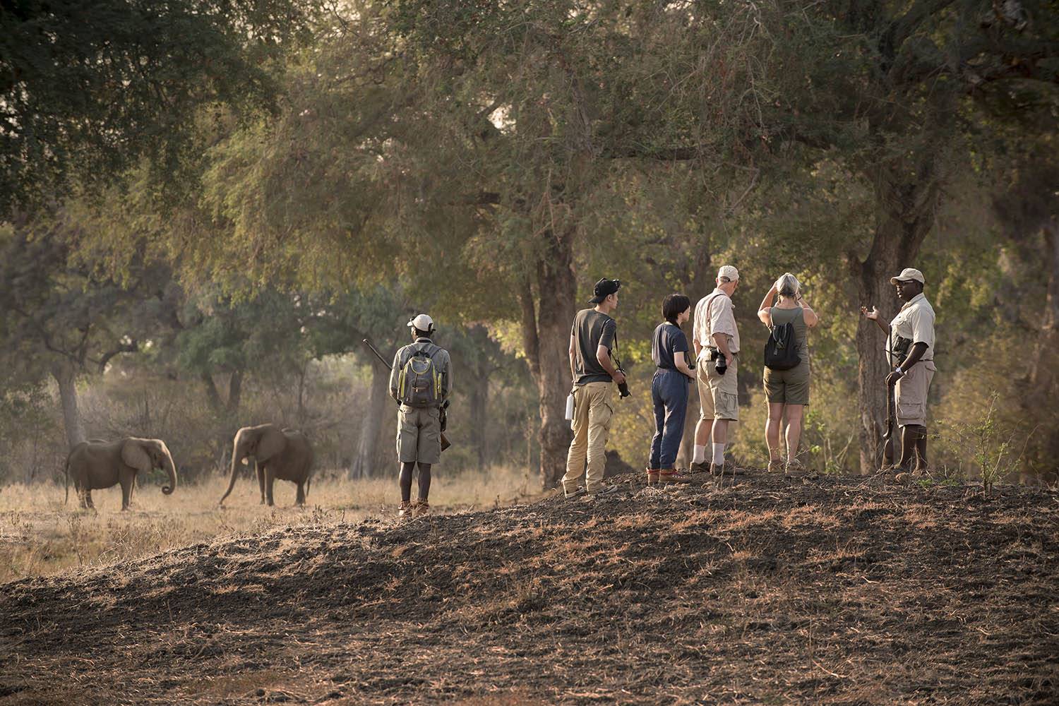 Nyamatusi Camp  en Mana Pools