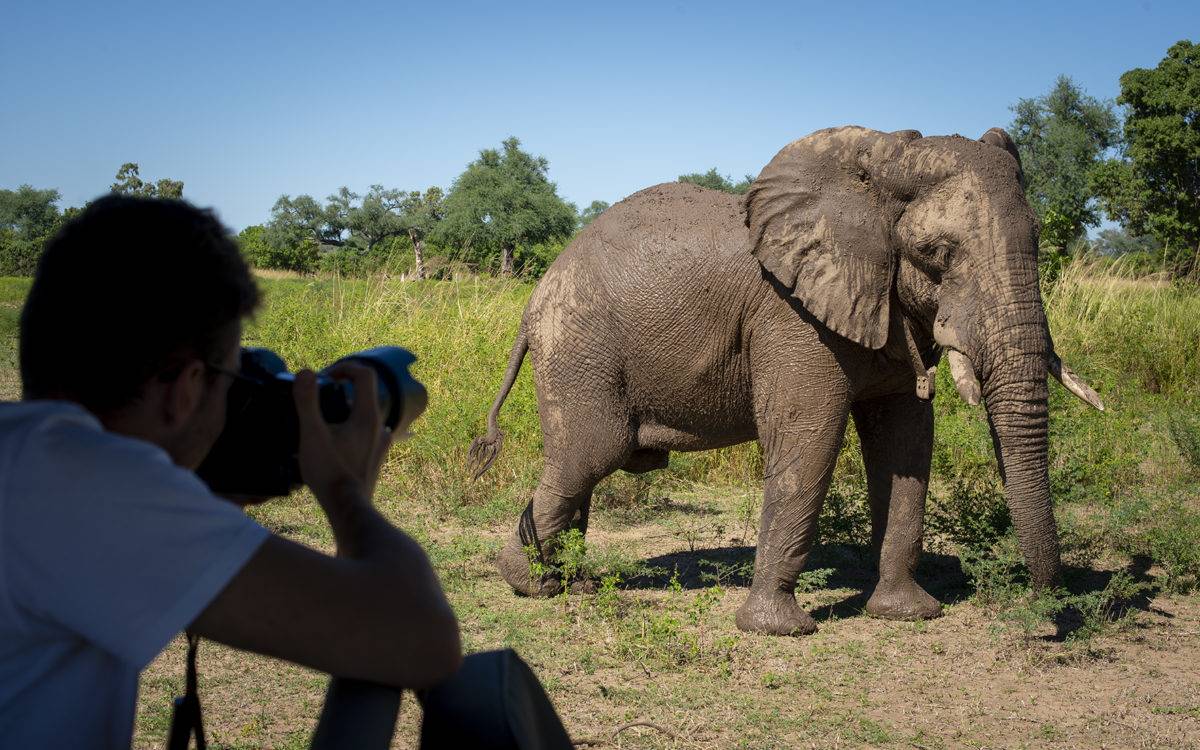 Nyamatusi Camp  en Mana Pools