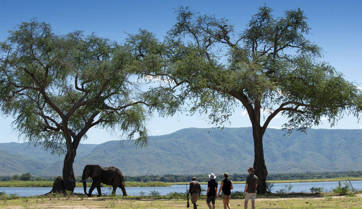 Nyamatusi Camp  en Mana Pools