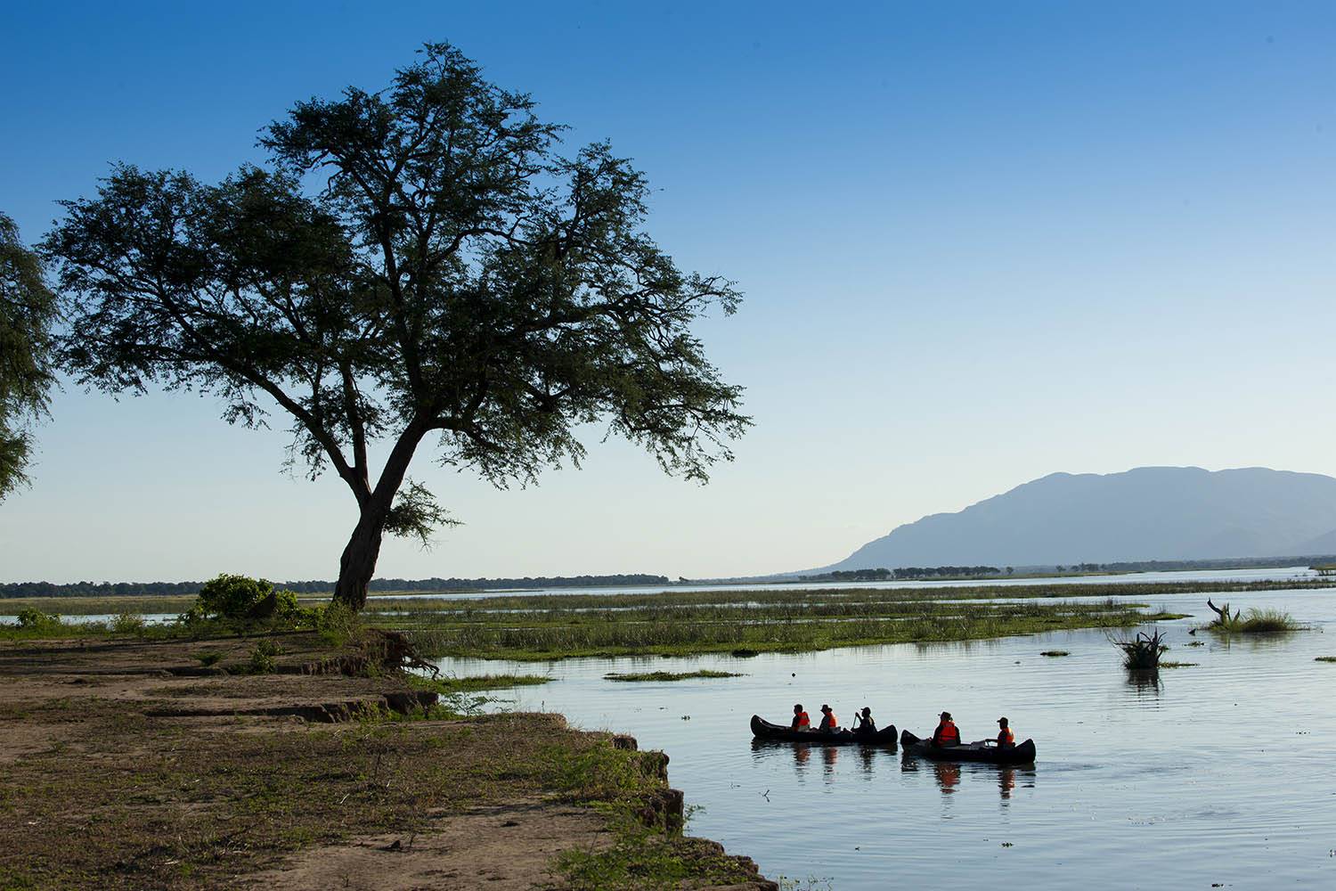 Nyamatusi Camp  en Mana Pools