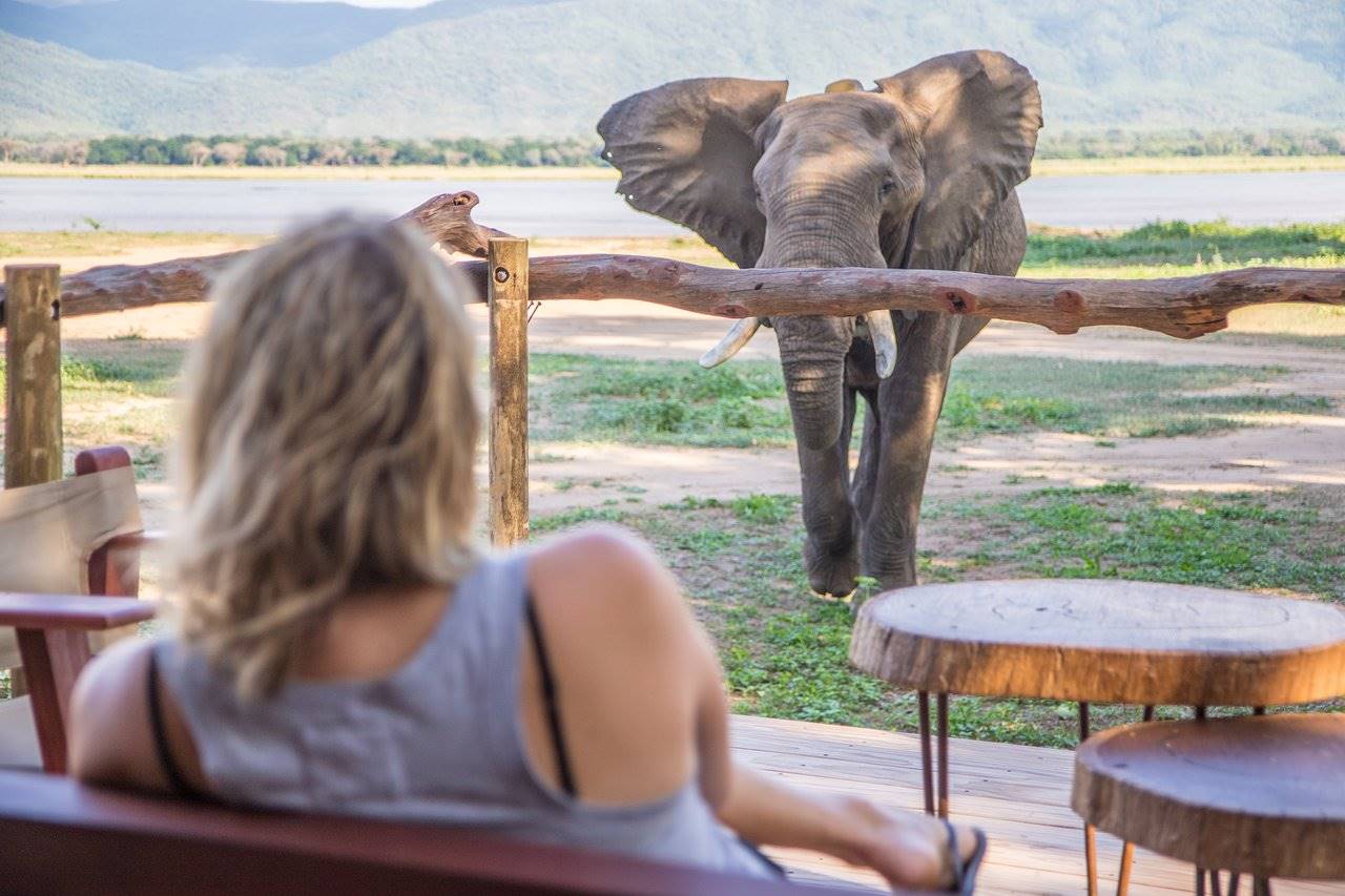 Nyamatusi Camp  en Mana Pools