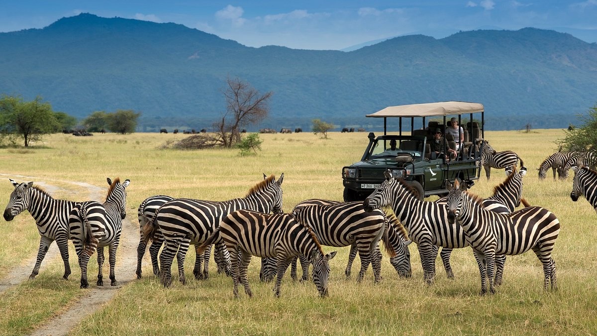 And Beyond  Lake Manyara Tree Lodge en Manyara