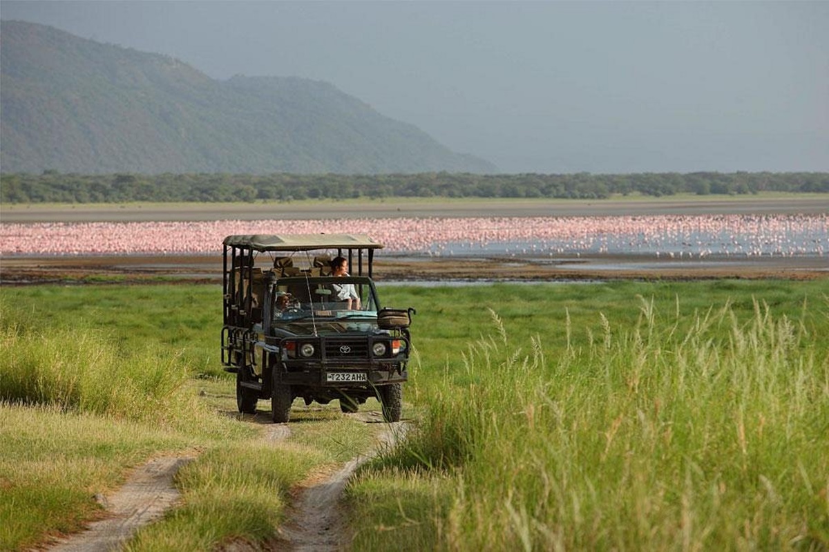 And Beyond  Lake Manyara Tree Lodge en Manyara