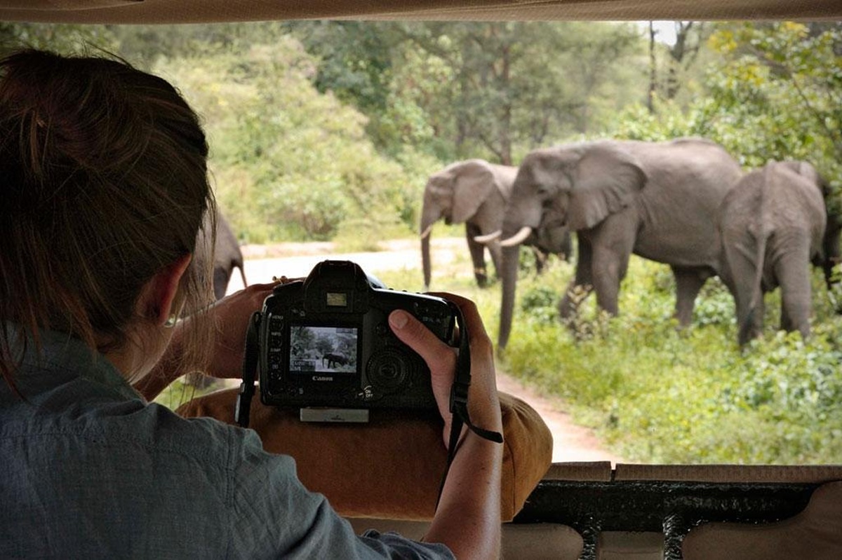 And Beyond  Lake Manyara Tree Lodge en Manyara