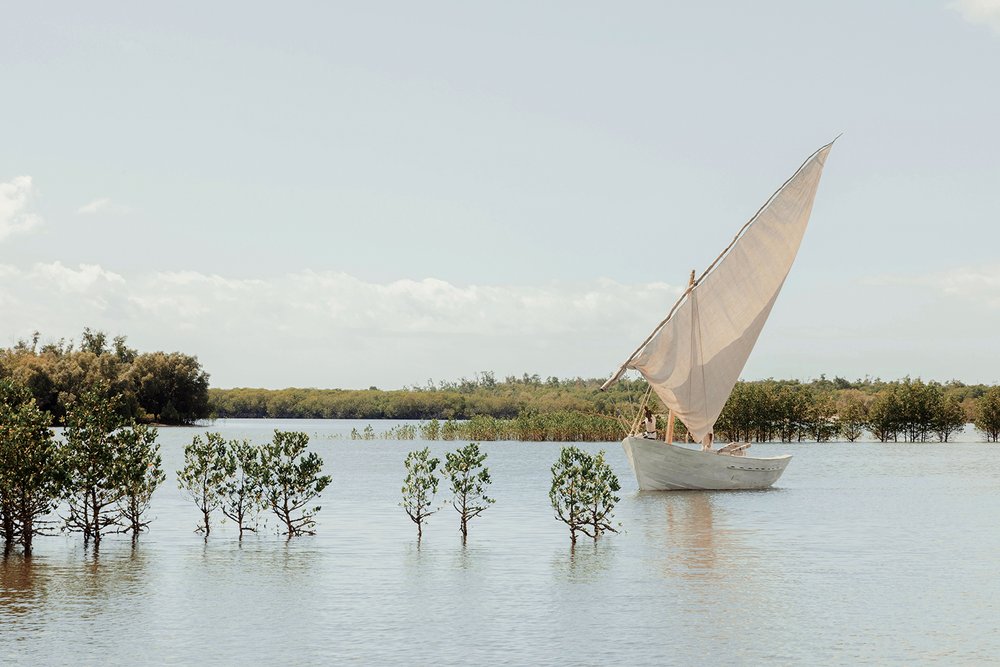Sussurro en mozambique