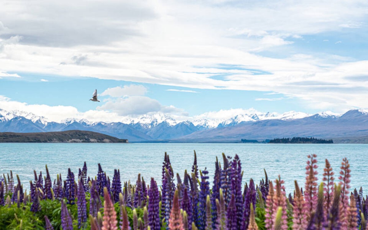 Matuka Luxury Lodge en Mt Cook