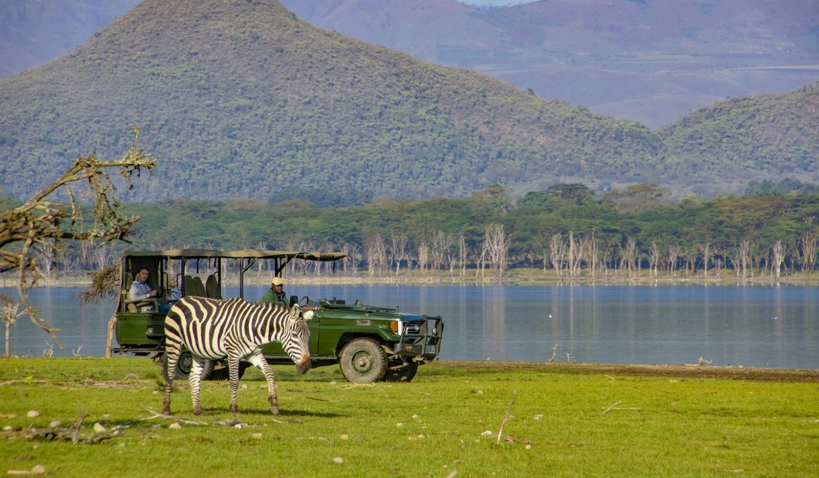 Chui Lodge  en Naivasha