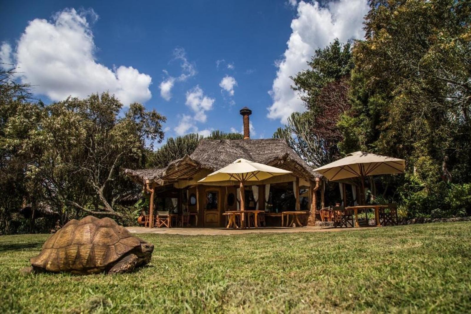 Chui Lodge  en Naivasha
