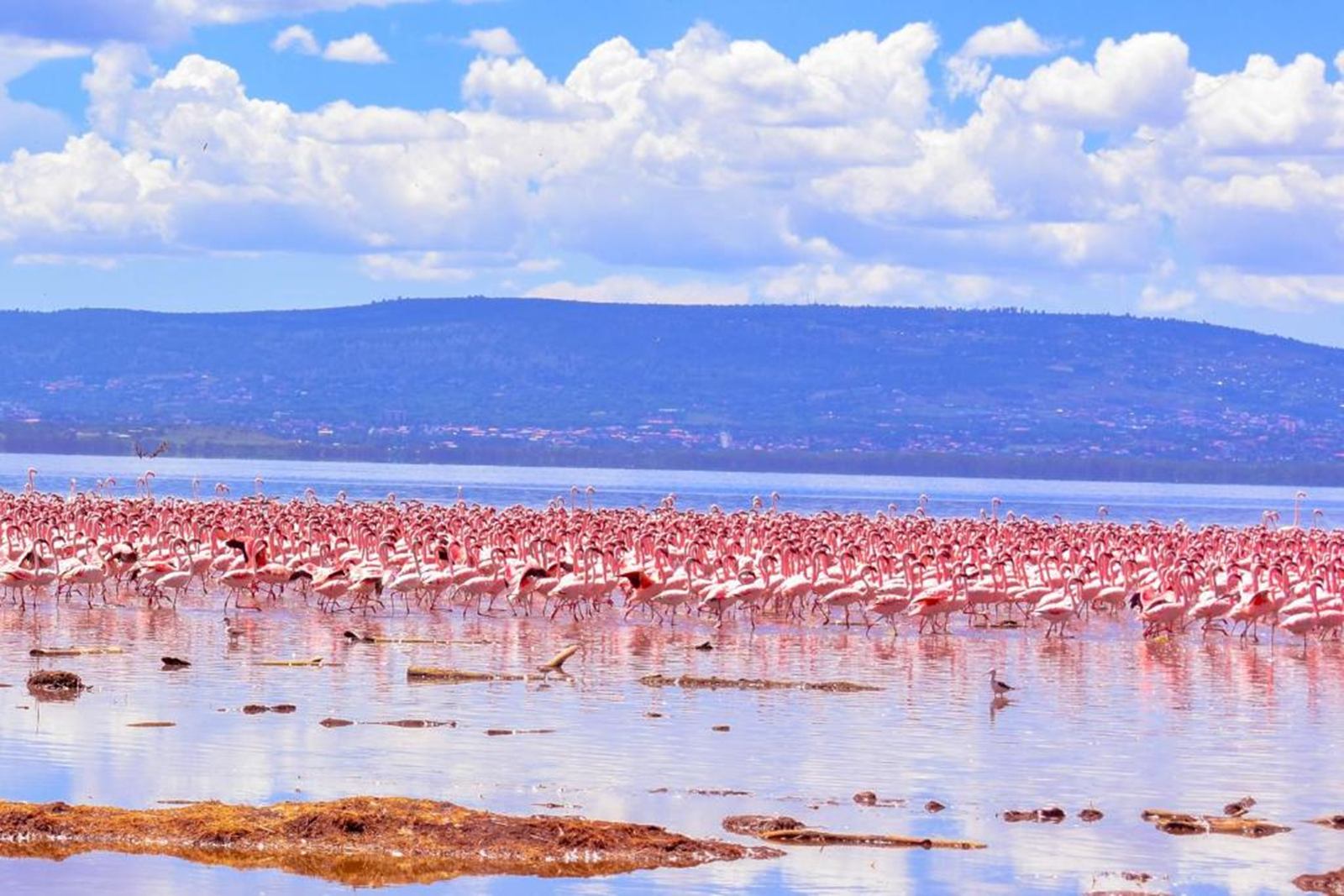 Lake Nakuru Lodge  en Nakuru