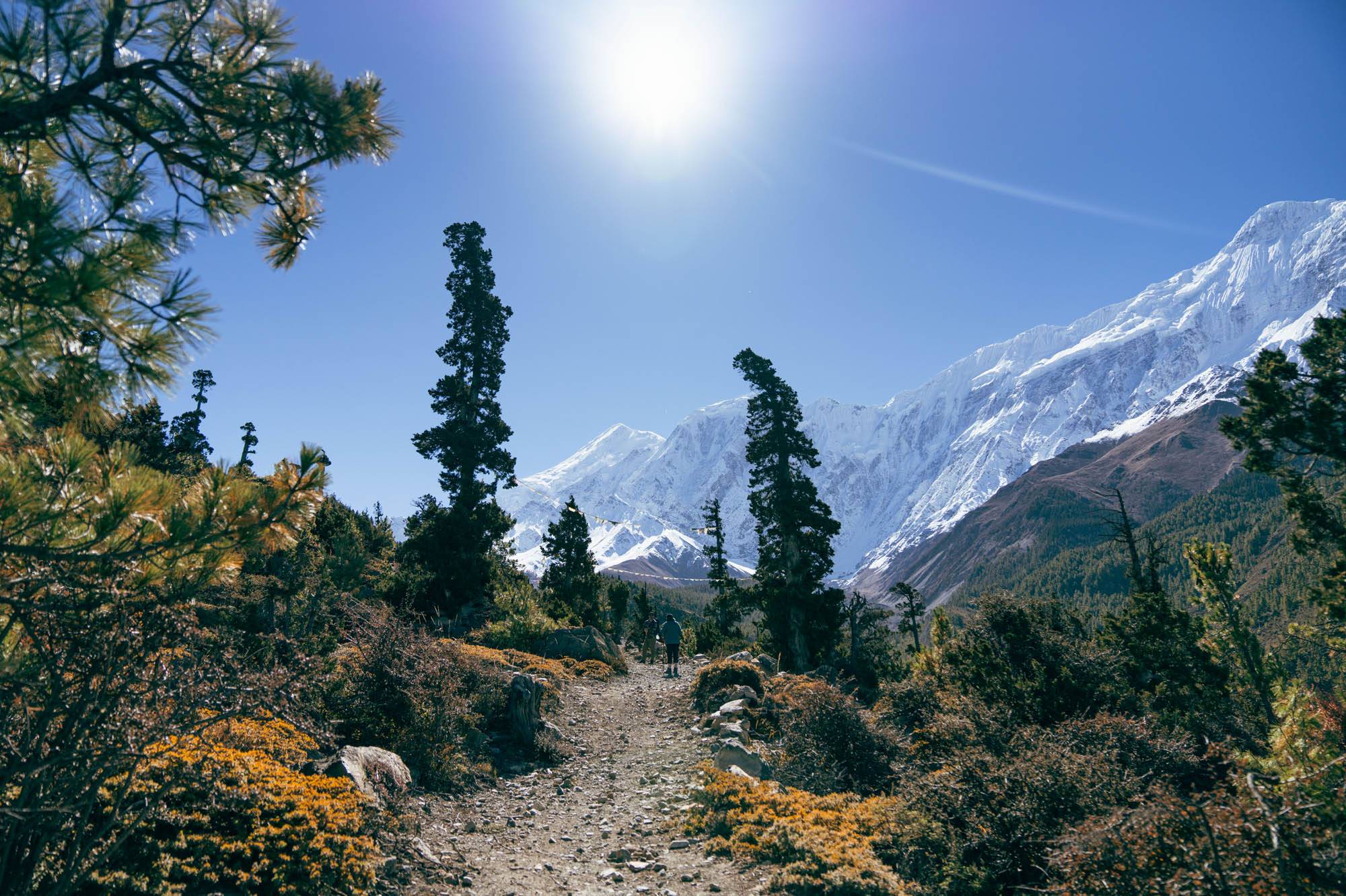 Shinta Mani Mustang - A Bensley Collection en Jomsom
