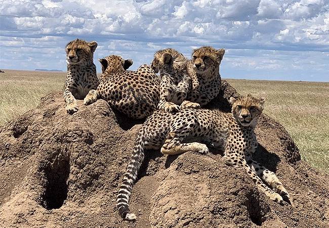 Lemala Osonjoi Lodge 