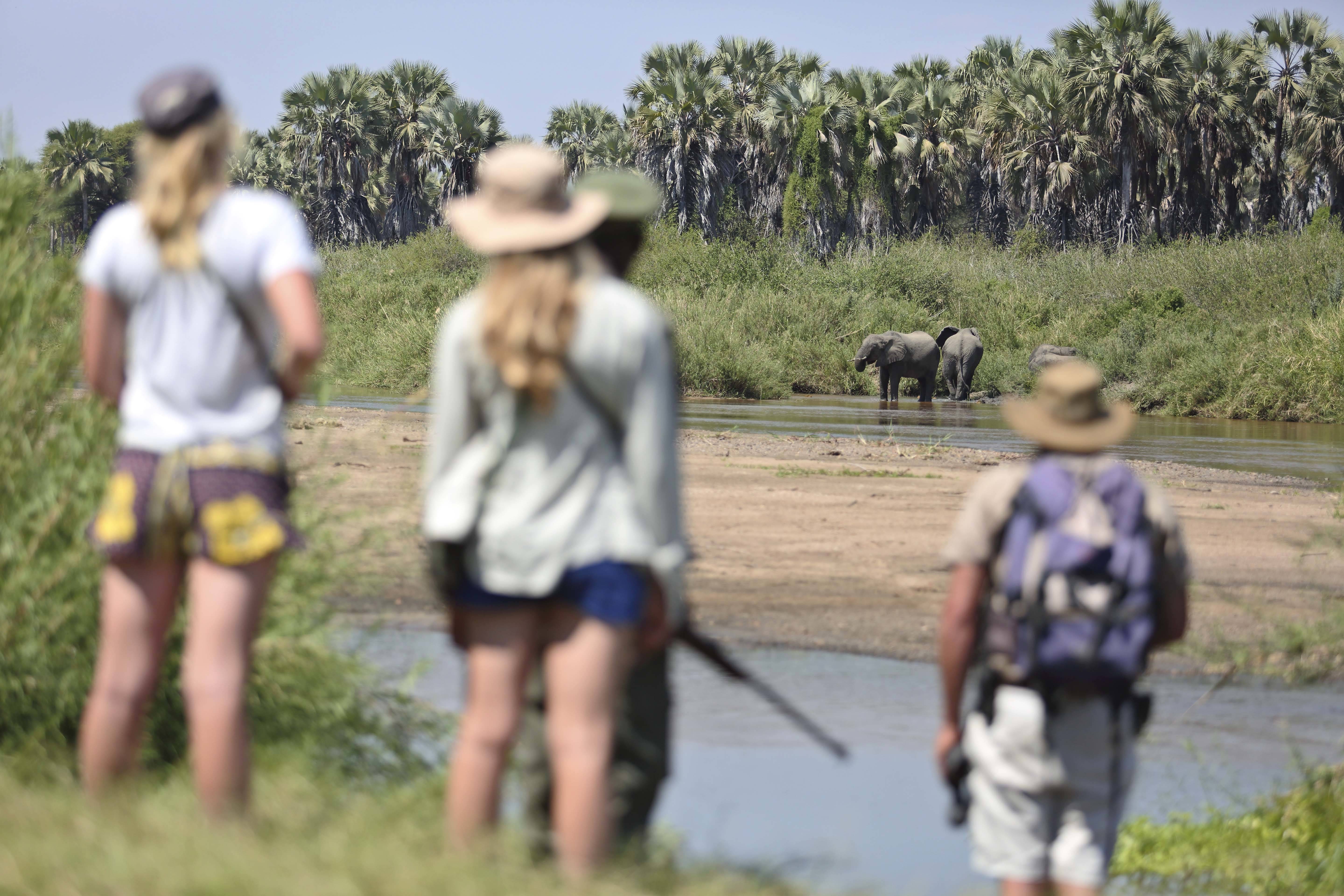 Kichaka Kidogo Flycamping