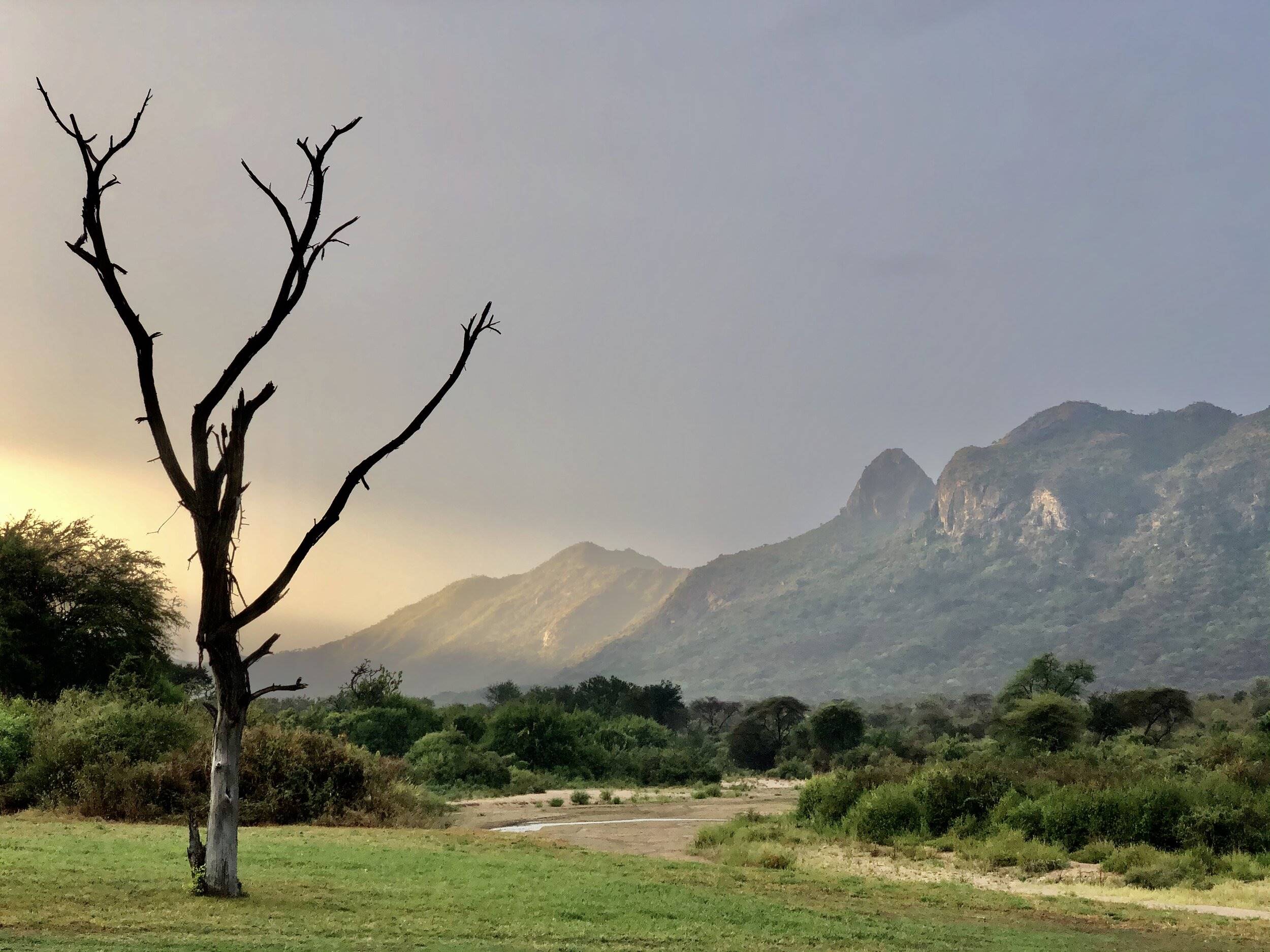 Kalepo Camp en Samburu