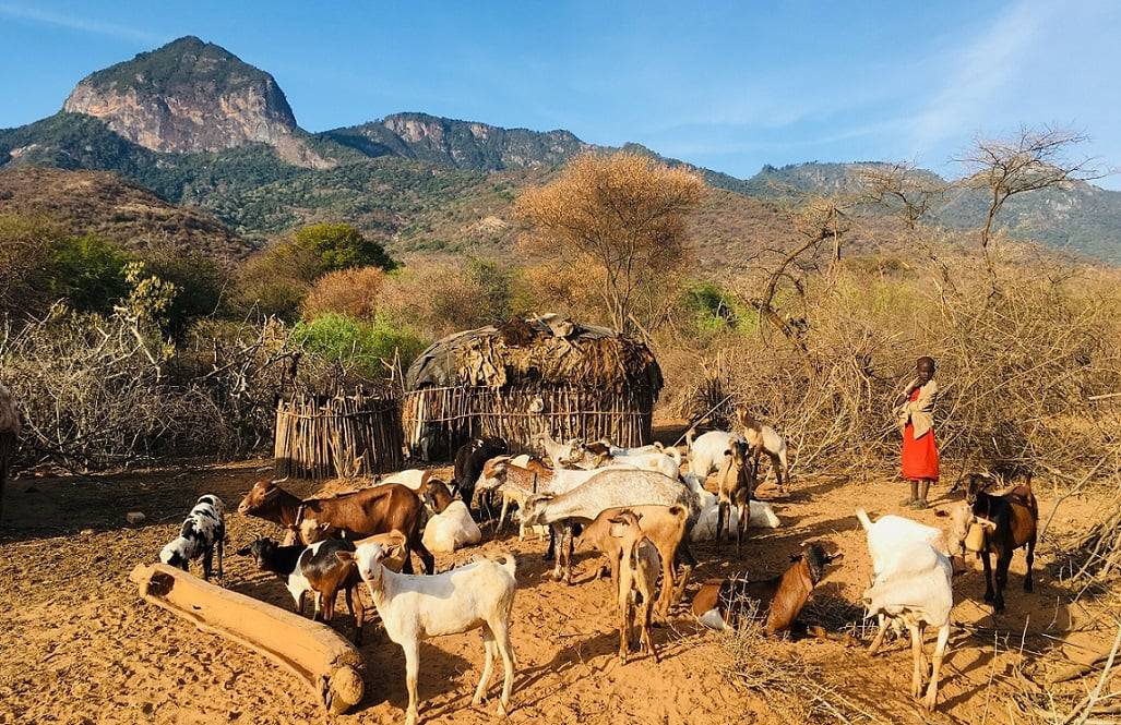 Kalepo Camp en Samburu