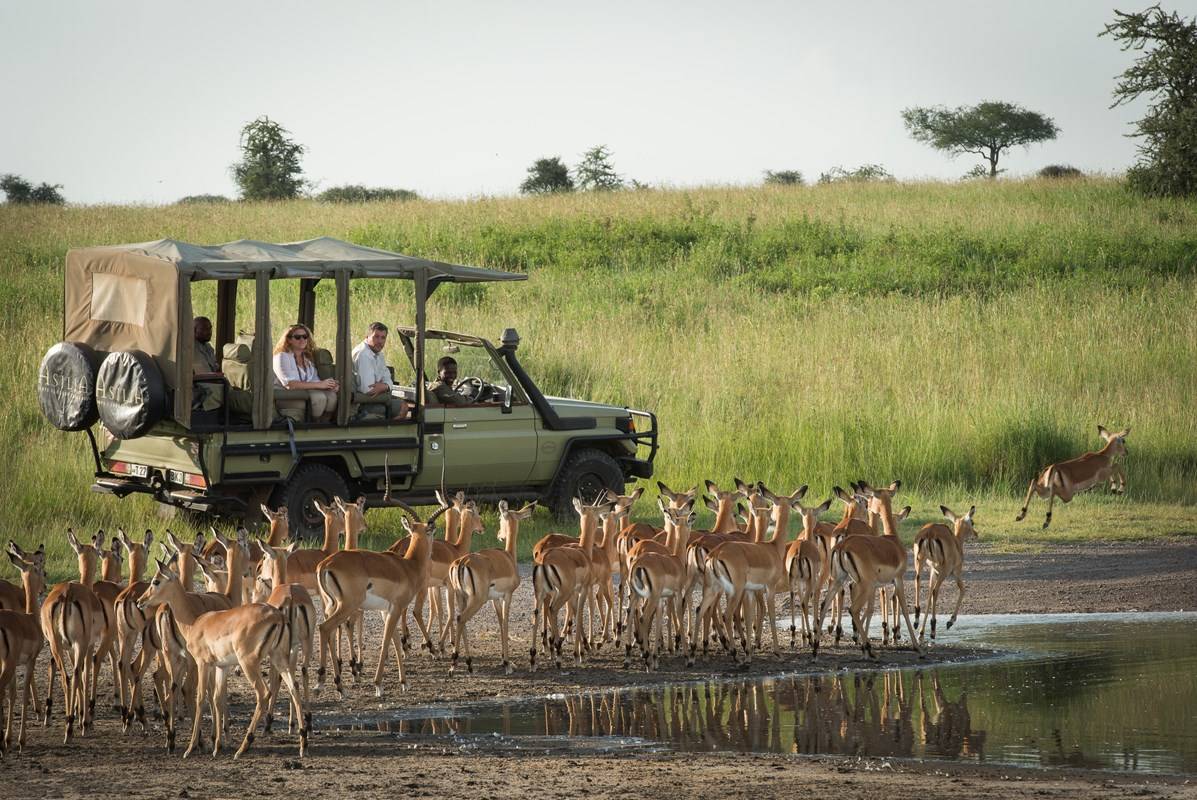 Serengeti