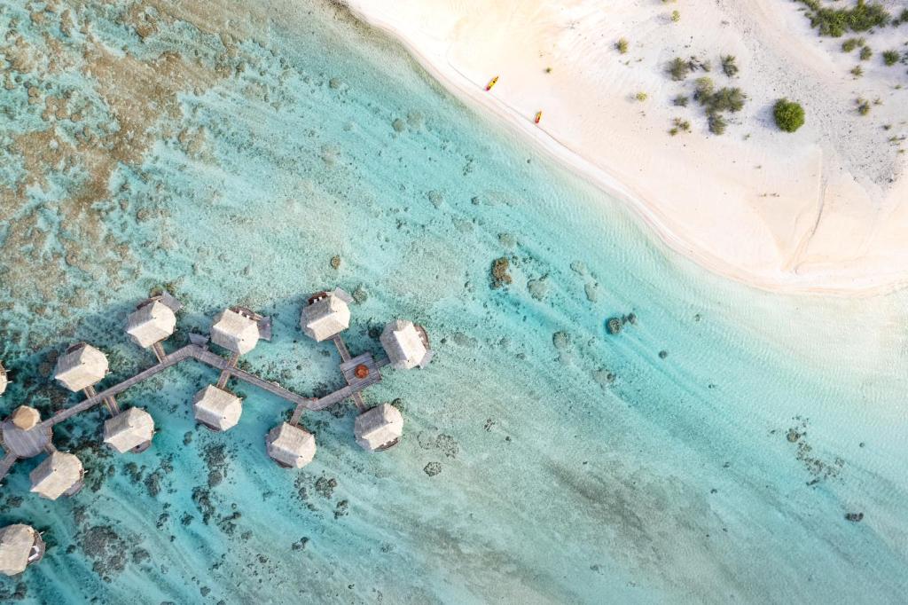 Viaje Moorea y Tikehau diseñado por LAT.40