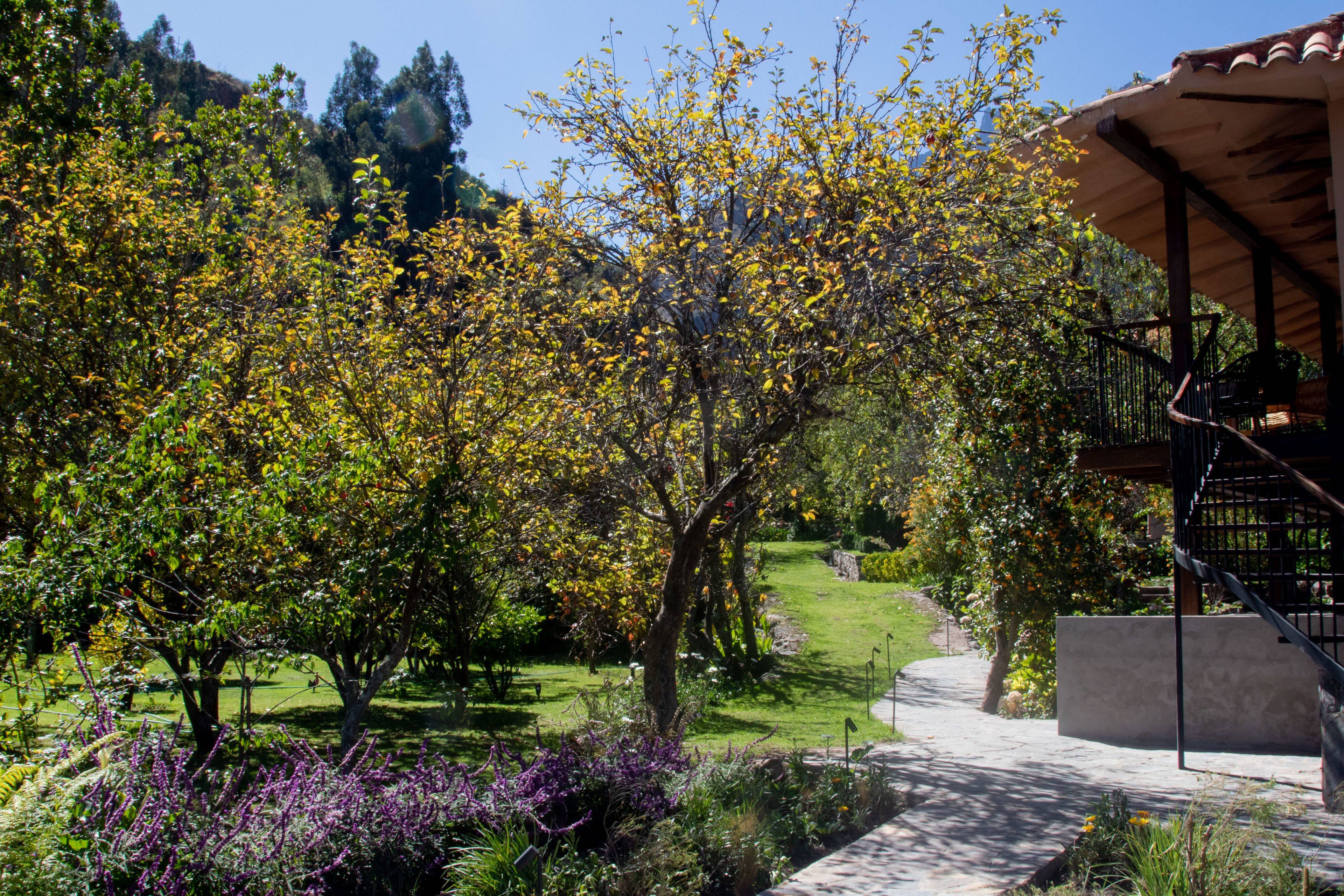 Andenia Boutique Hotel, Sacred Valley en Valle Sagrado