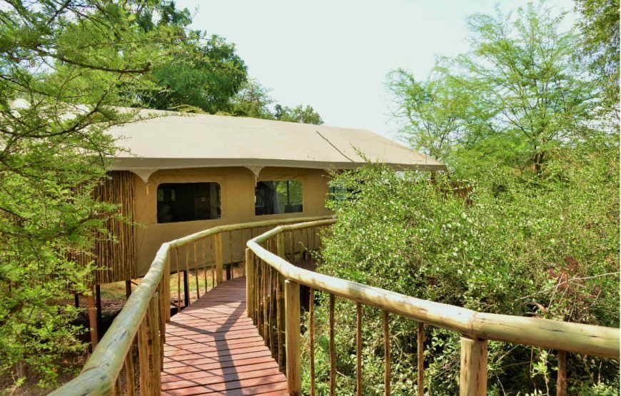 Jackalberry Lodge Chobe en Chobe