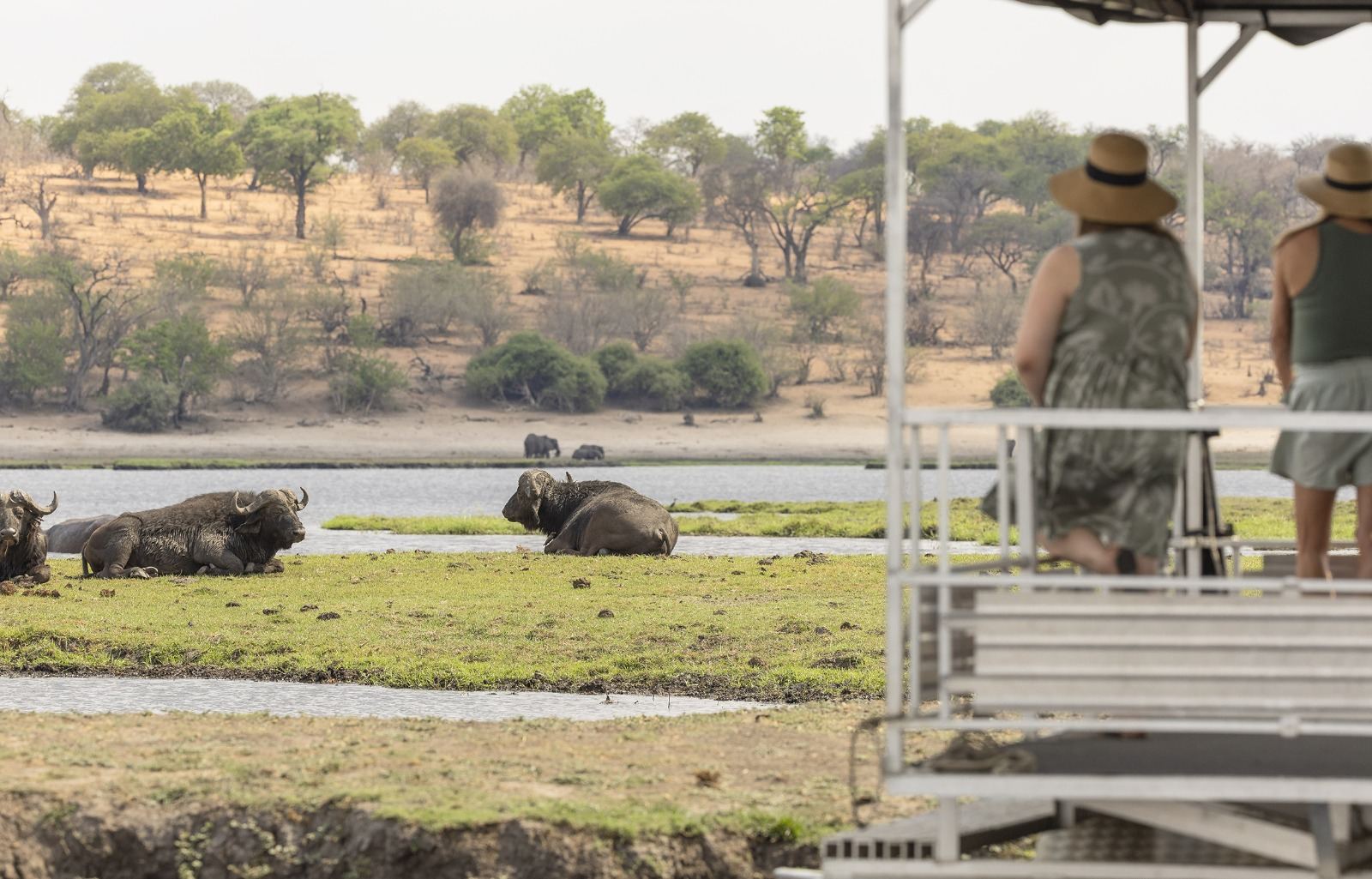 Jackalberry Lodge Chobe en Chobe