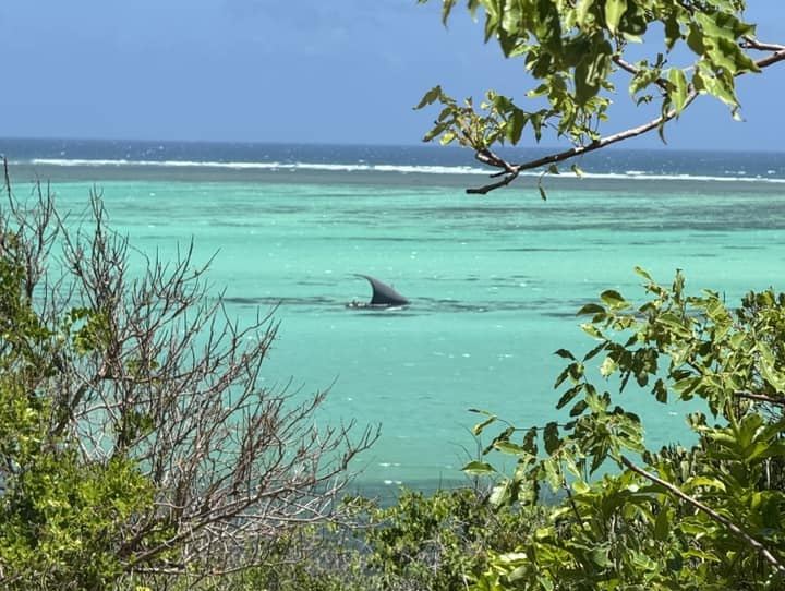 Tao Resort en Madagascar