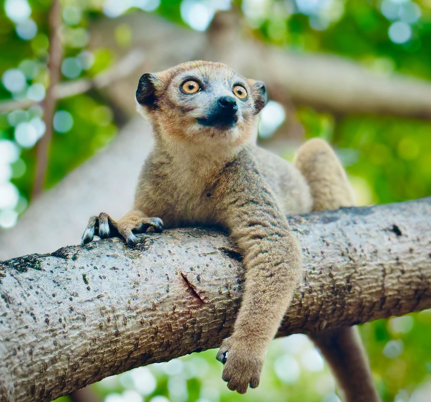 Tao Resort en Madagascar