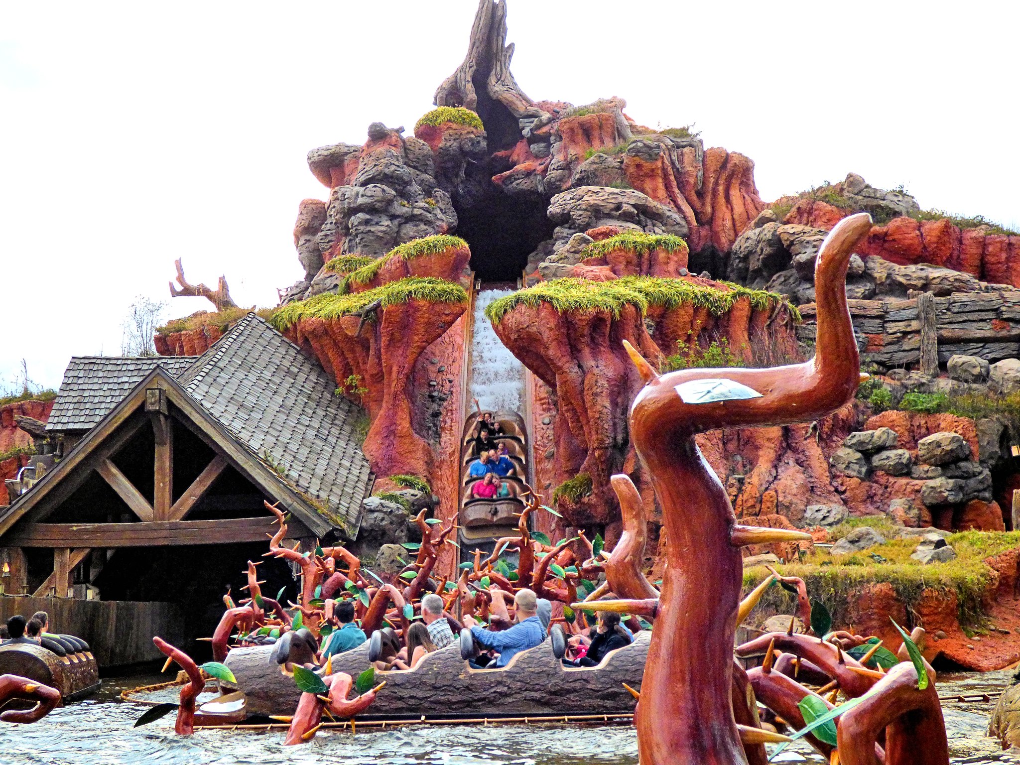 Disney World | LAT.40