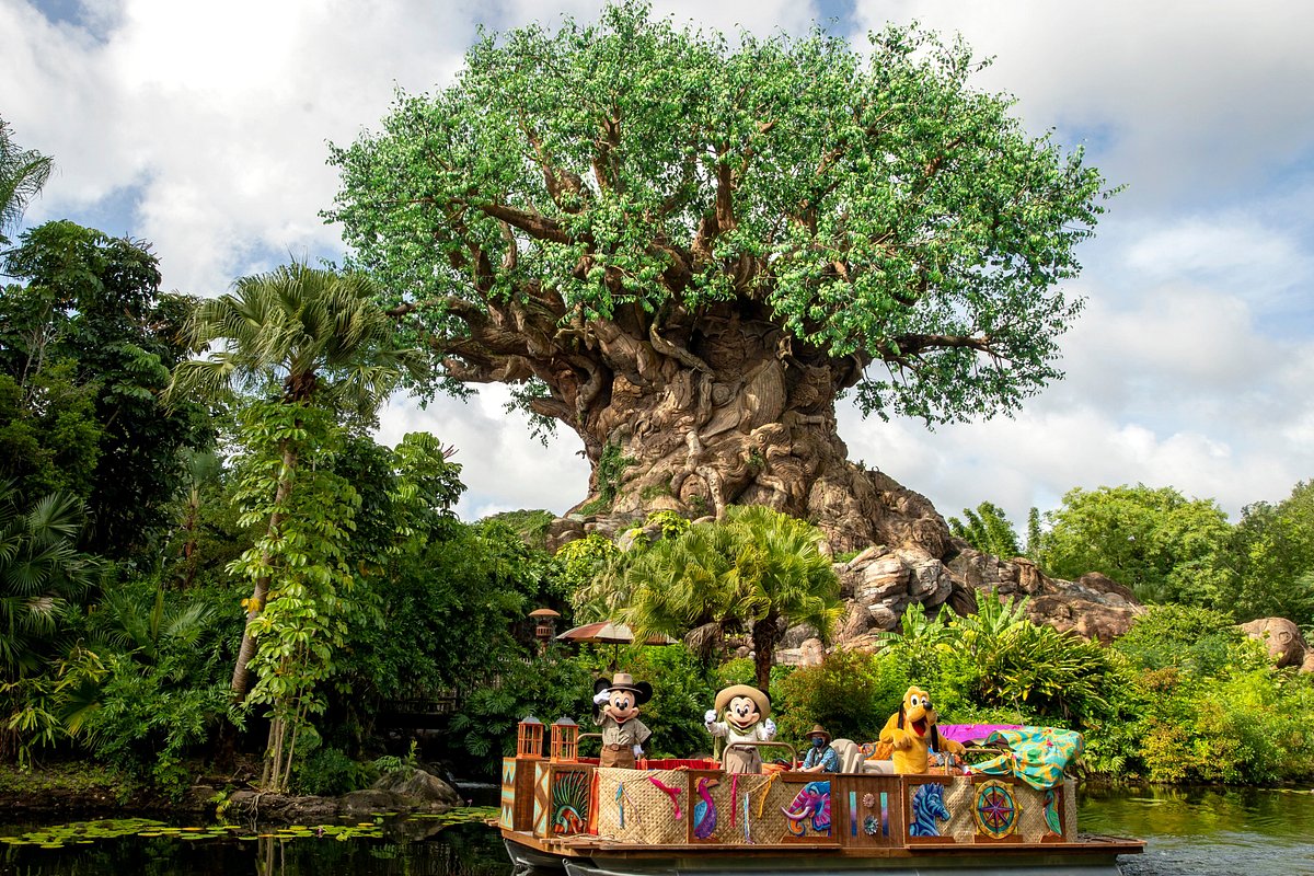 Disney World | LAT.40