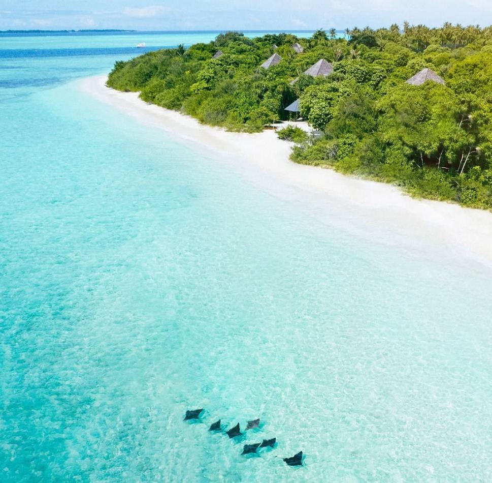 Hideaway Beach Resort and Spa en Maldivas