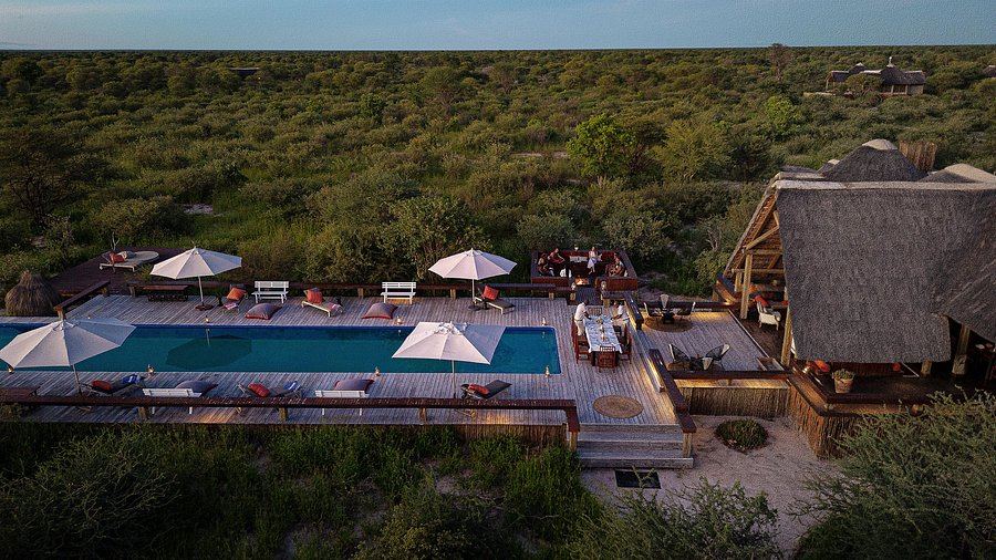 Feline Fields Lodge en su destino