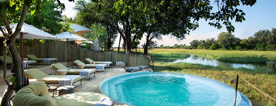 Khwai Leadwood  en Moremi