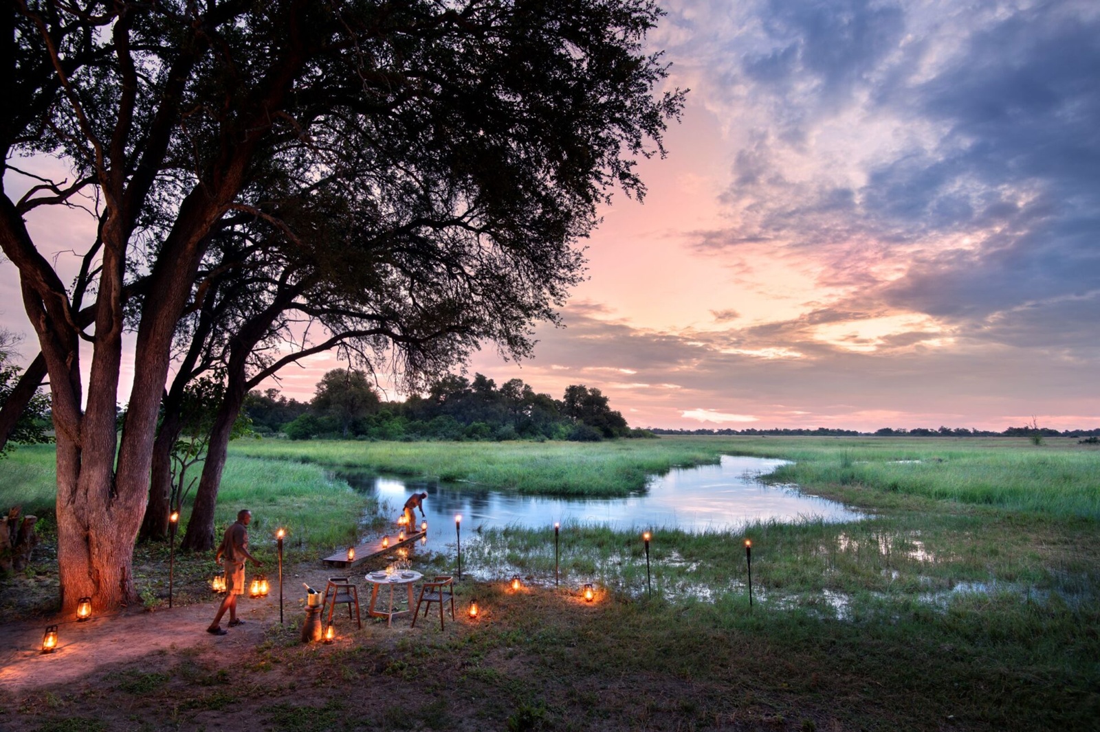 Khwai Leadwood  en Moremi