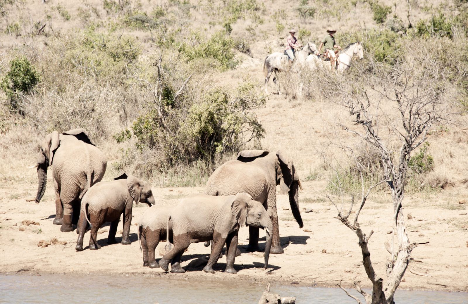 Ol Malo House en Laikipia 