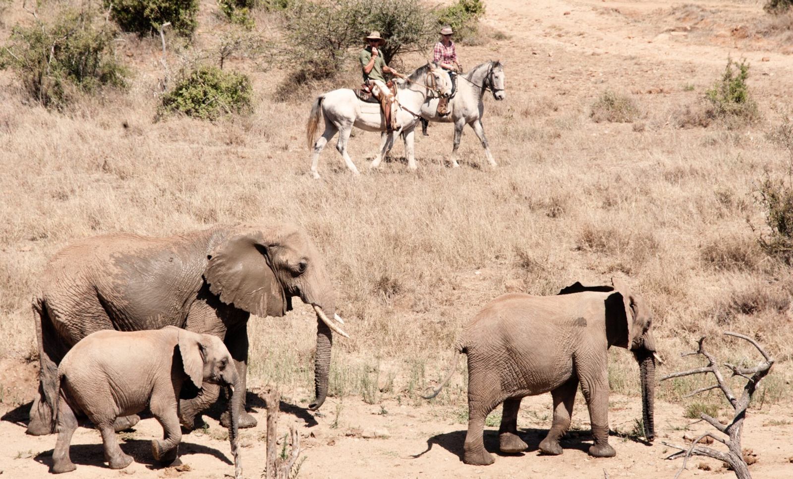 Ol Malo House en Laikipia 