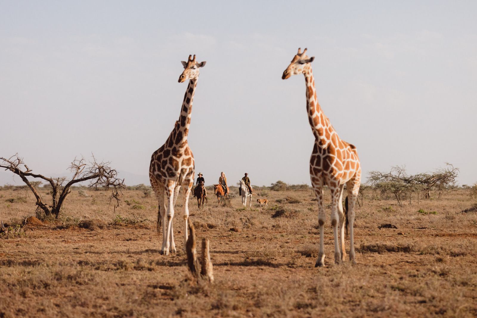 Ol Malo House en Laikipia 