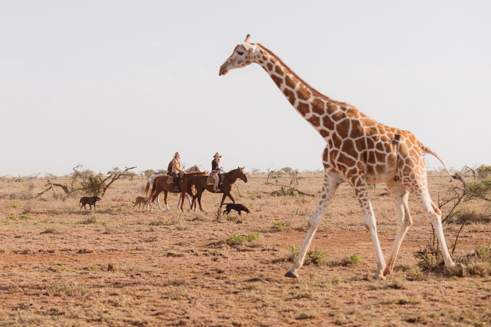Ol Malo House en Laikipia 