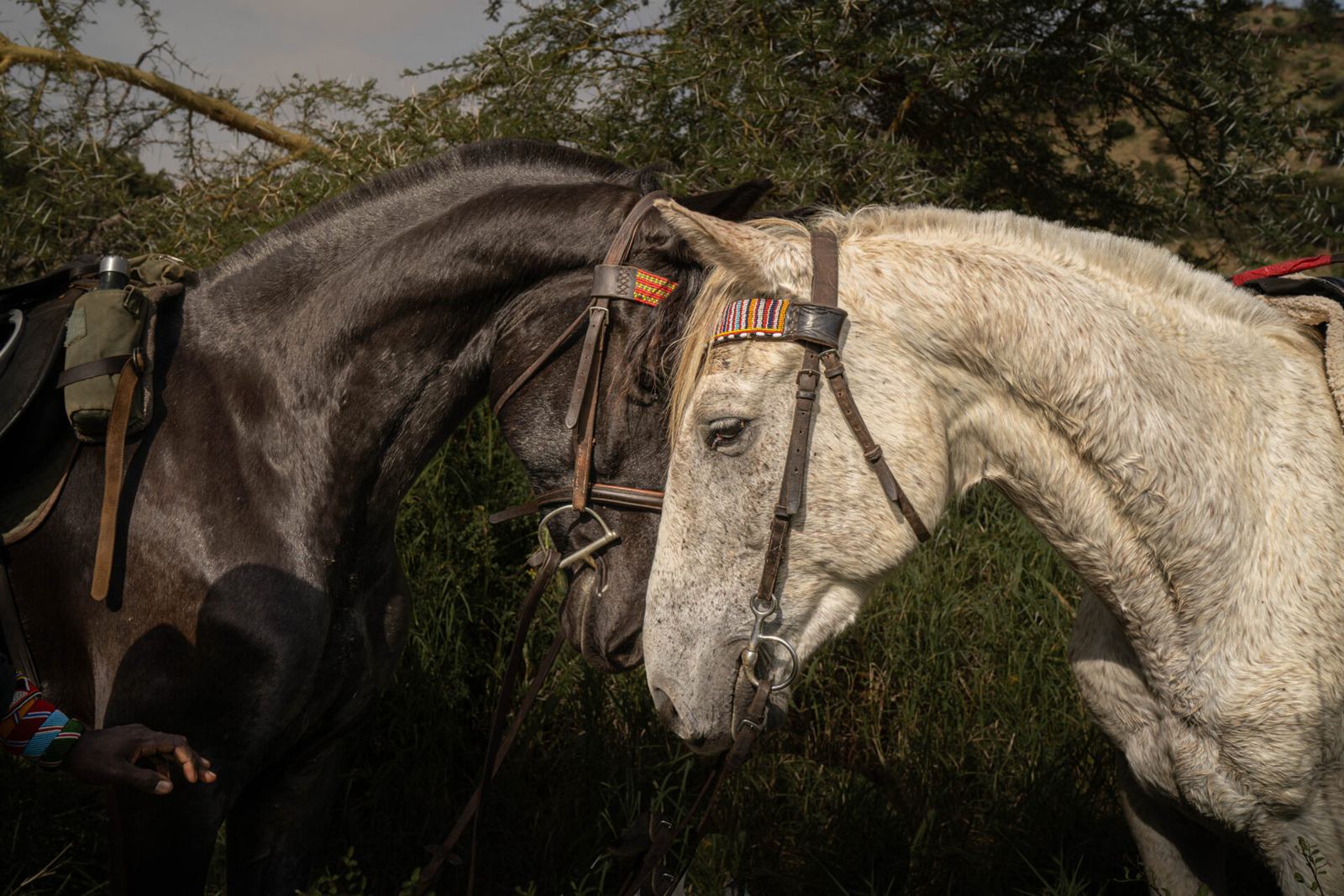 Ol Malo House en Laikipia 