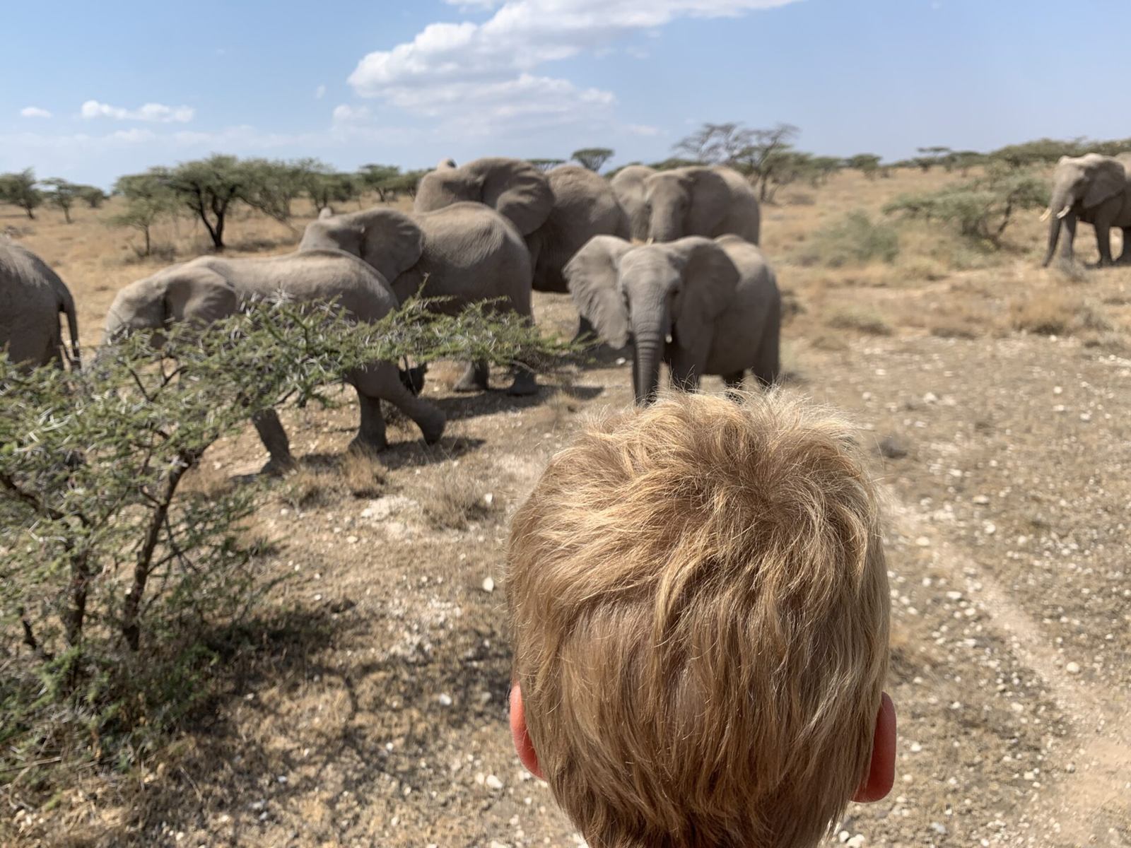 Ol Malo House en Laikipia 