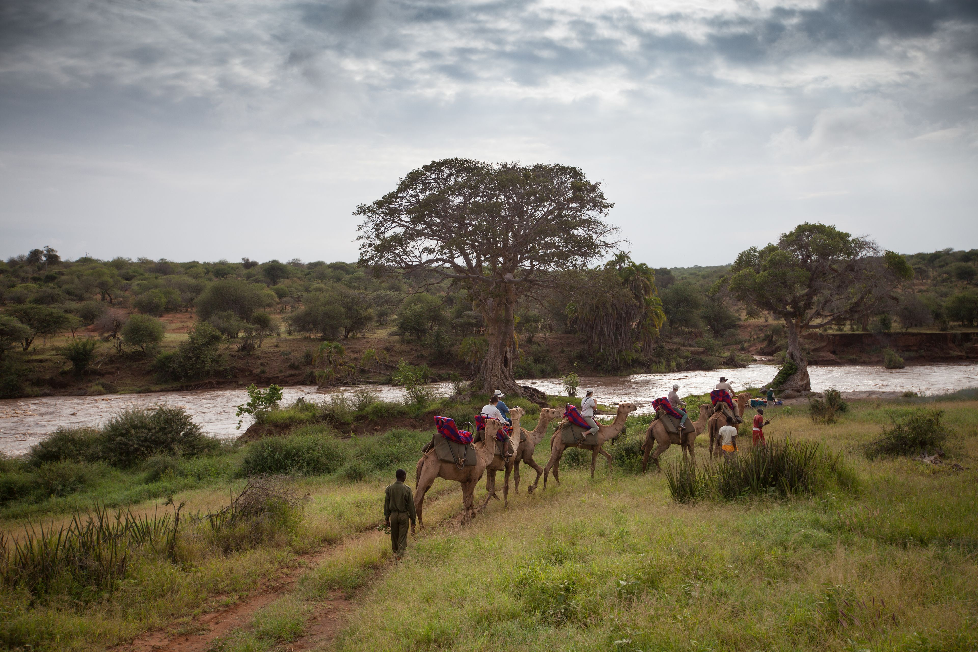 Elewana Loisaba Tented Camp en Loisaba