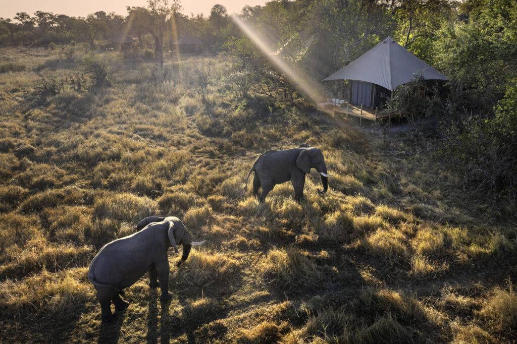 Khwai Lediba Camp en Moremi