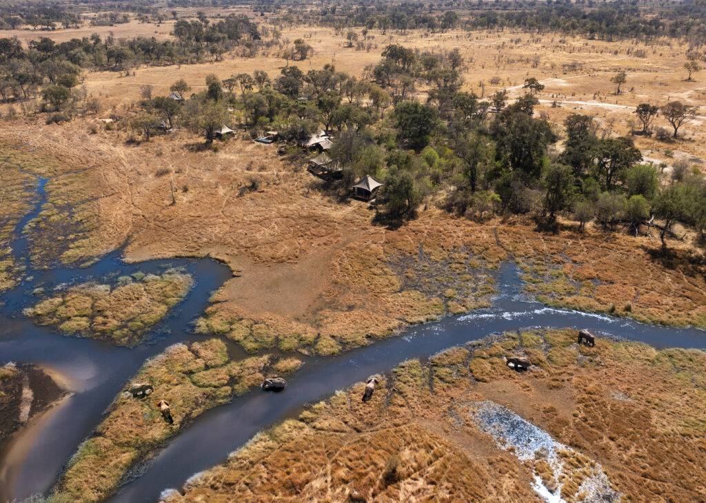 Khwai Lediba Camp en Moremi
