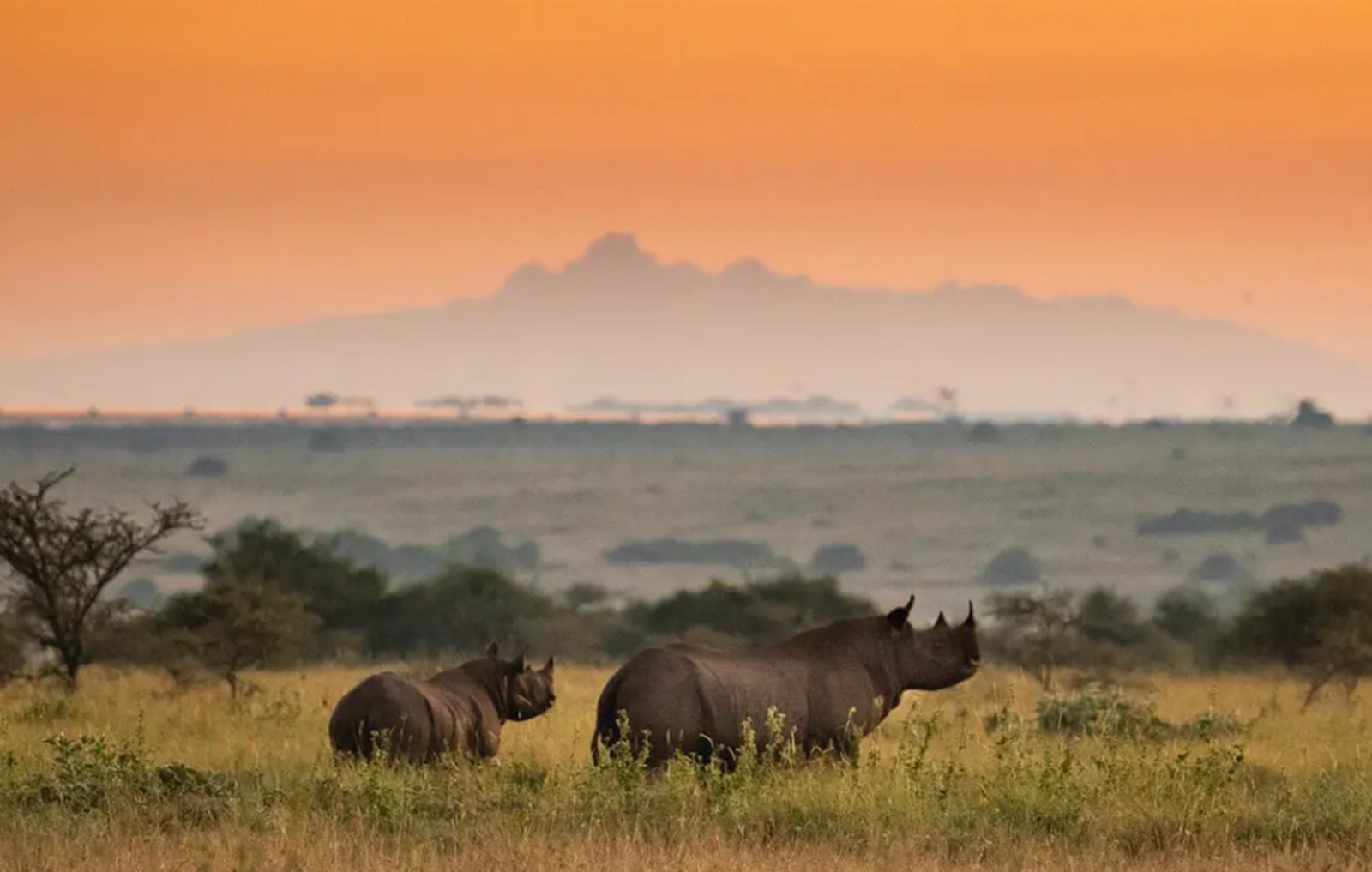  The Emakoko en Nairobi