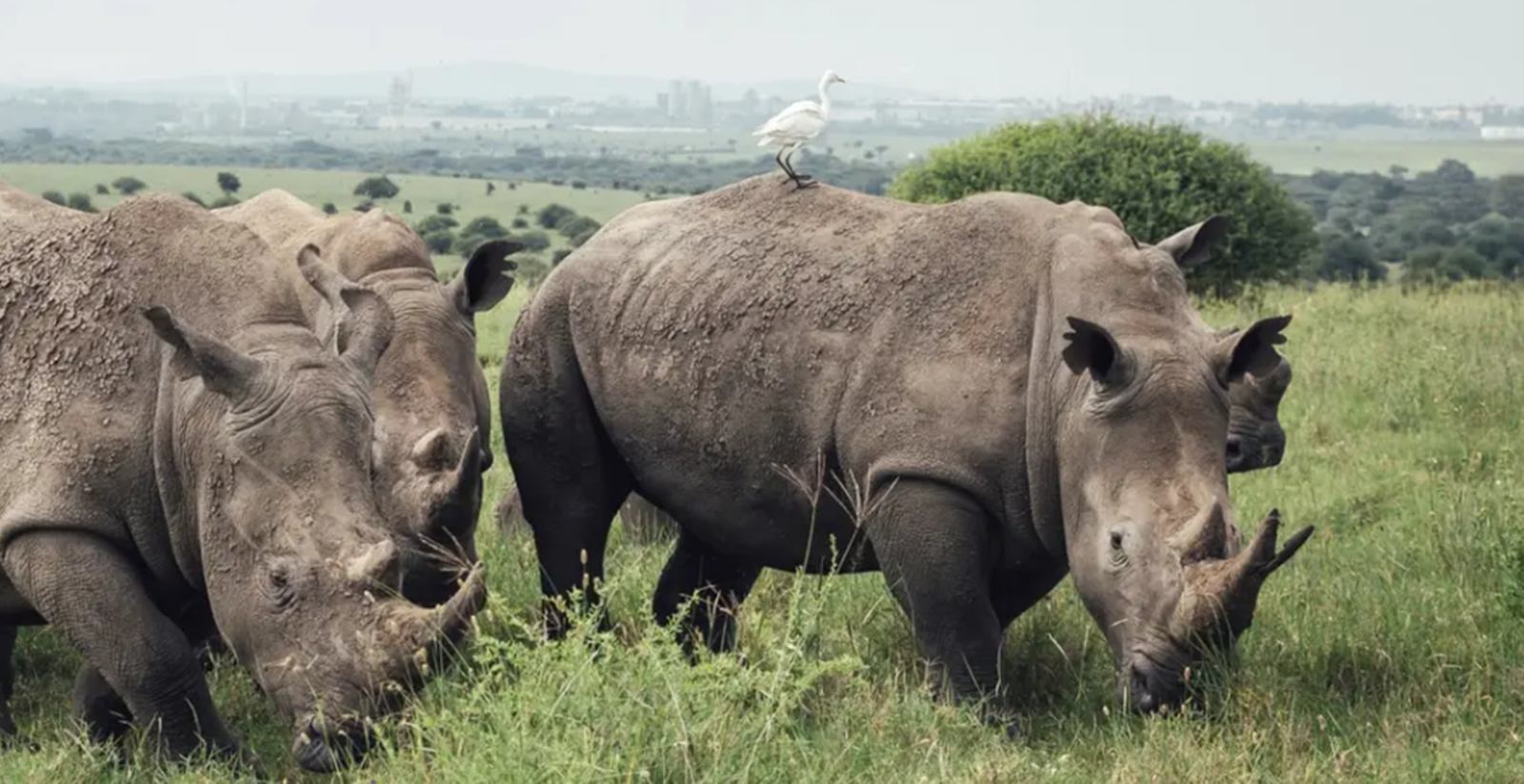  The Emakoko en Nairobi