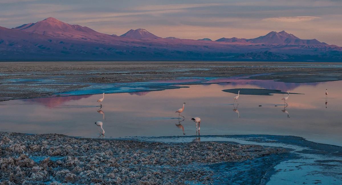 Nayara Alto Atacama en su destino