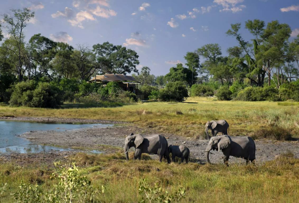 Atzaró Okavango Camp en Delta Okavango