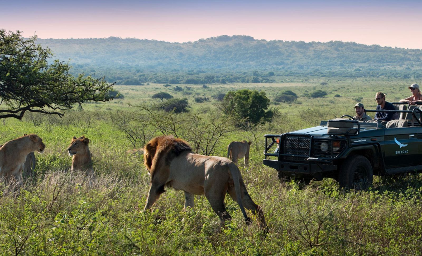 andBeyond Phinda Mountain Lodge en su destino