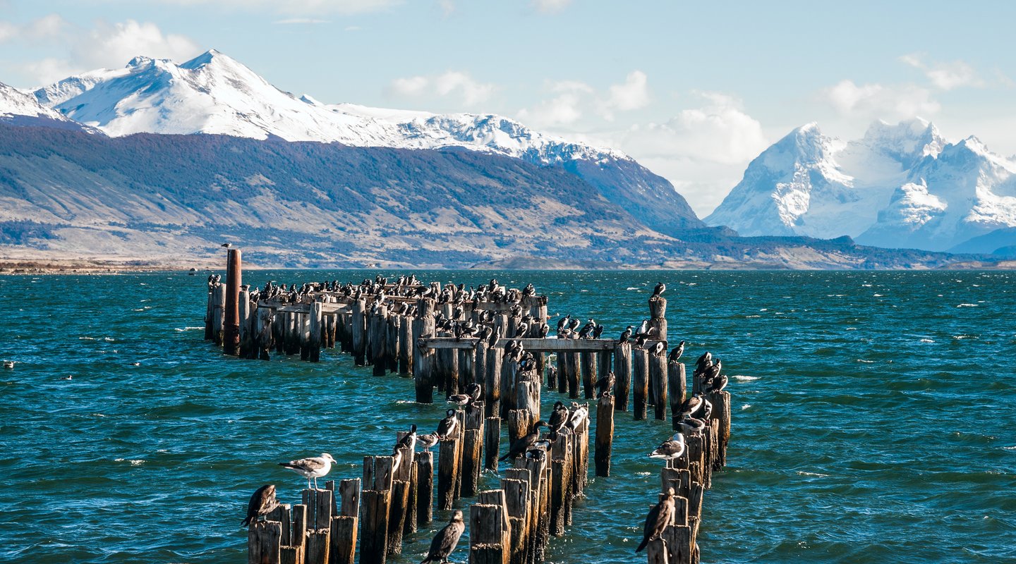 Puerto Natales | LAT.40