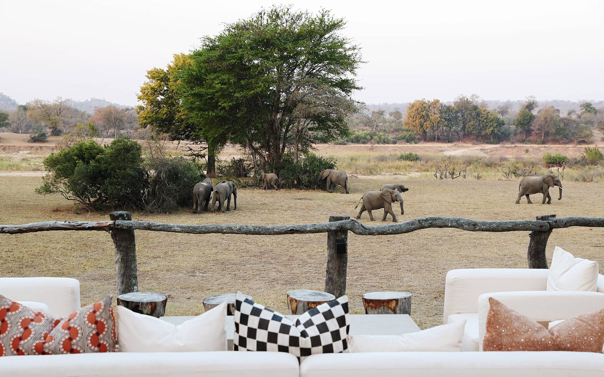MalaMala Sable Camp en Sabi Sands