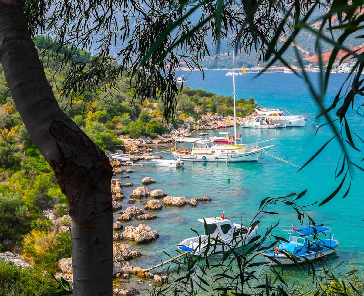 Turkey | LAT.40