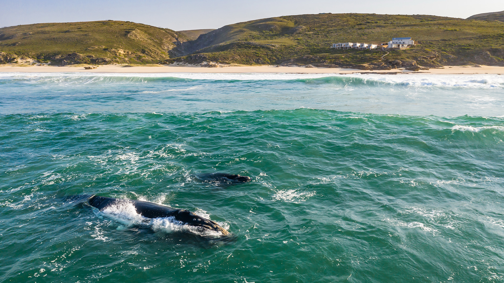 Lekkerwater Beach Lodge at De Hoop en De Hoop