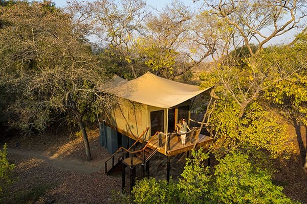 Fig Tree Bush Camp - Mukambi, Kafue National Park